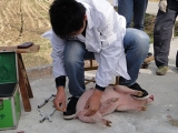 B(yng)ֳؿi鎸g(sh)ȫ