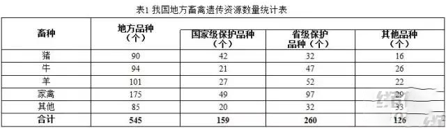 “十三五”規(guī)劃中重點保護的那些生豬品種