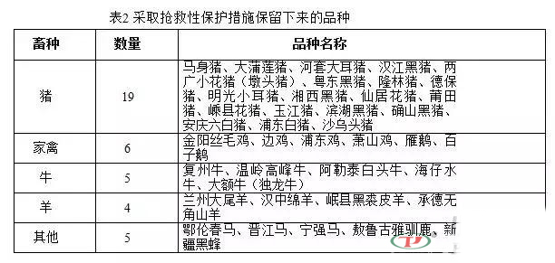 “十三五”規(guī)劃中重點保護的那些生豬品種