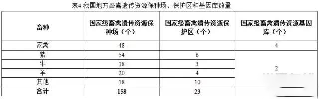 “十三五”規(guī)劃中重點保護的那些生豬品種