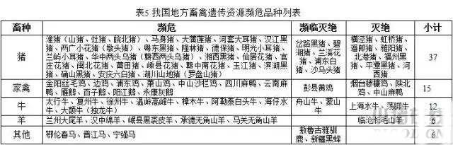 “十三五”規(guī)劃中重點保護的那些生豬品種