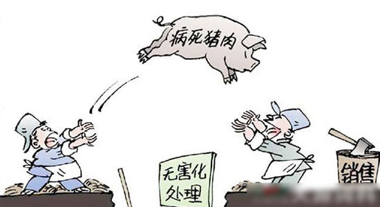 生產(chǎn)銷售禁藥、販賣病死豬等行為被入刑