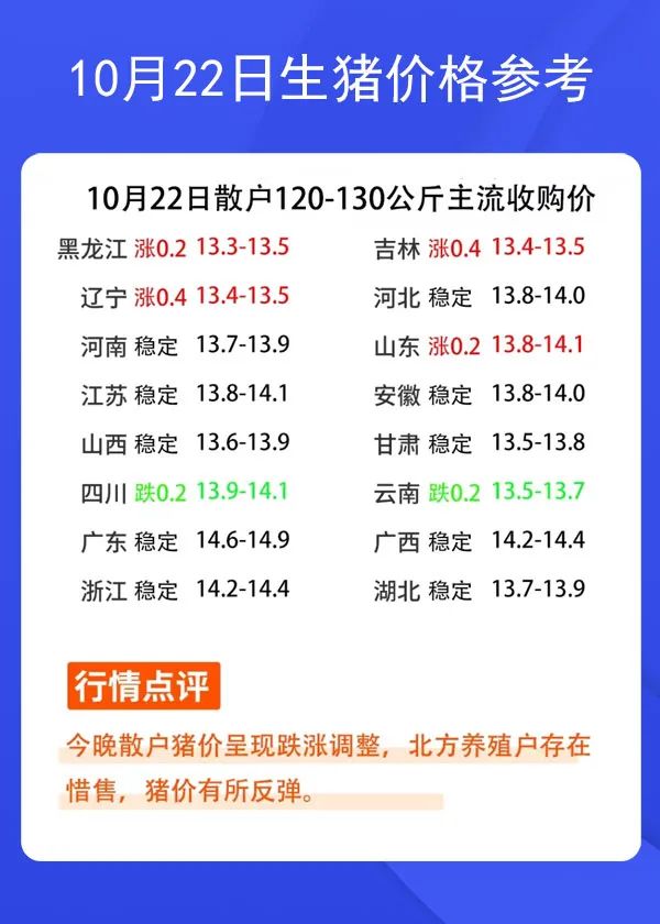 1022ir񅢿