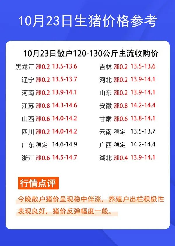 1023ir(ji)񅢿