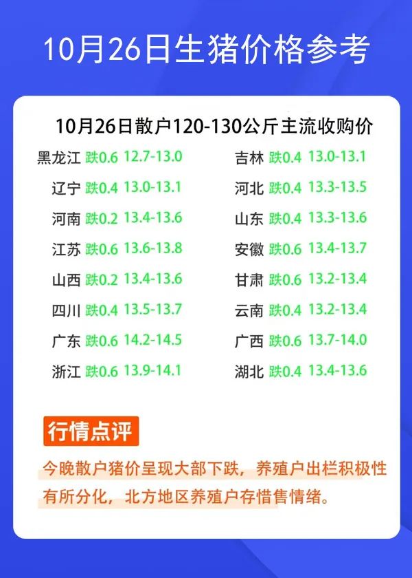 1026ir񅢿