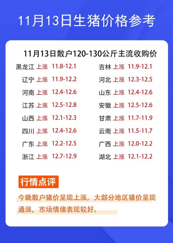 1113ir񅢿