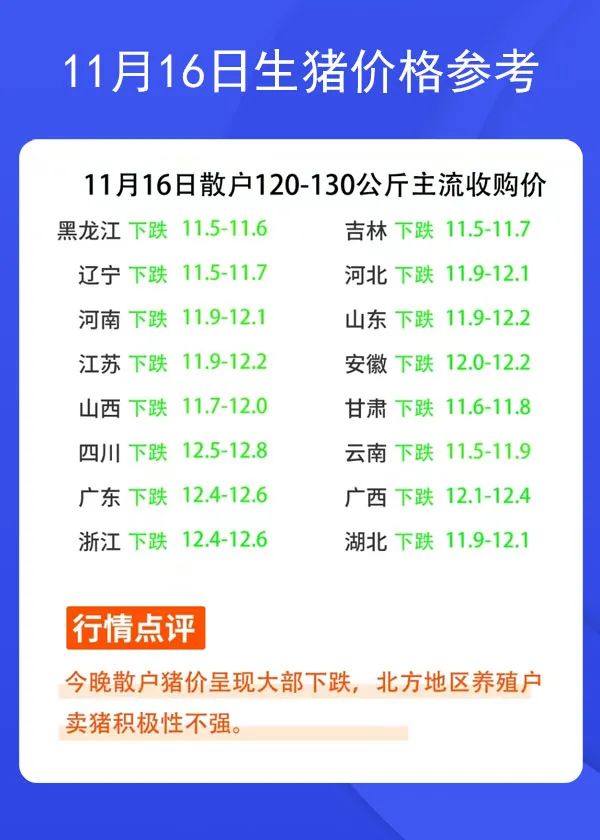 1116ir(ji)񅢿